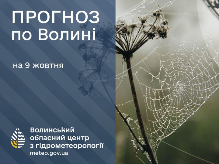 Погода в Луцьку та Волинській області на завтра, 9 жовтня