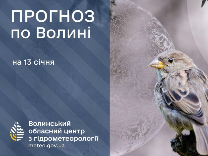 Погода в Луцьку та Волинській області на завтра, 13 січня