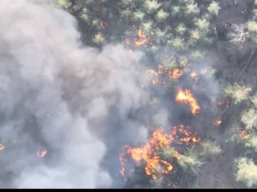 Волинські тероборонівці знищили на Сході ворожу БМД. ВІДЕО