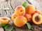Абрикоси і сливи: скільки коштують літні фрукти на луцькому базарі