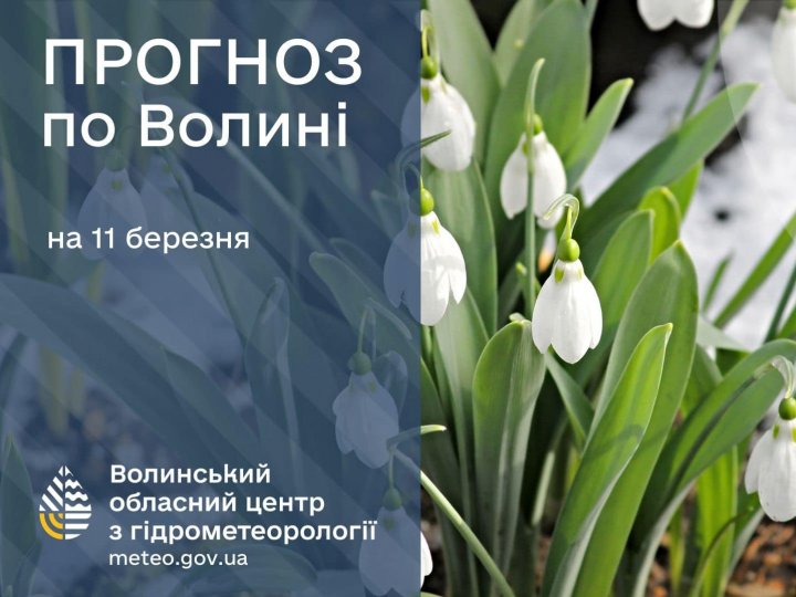 Погода в Луцьку та Волинській області на завтра, 11 березня