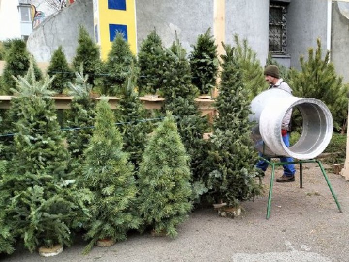 У Луцьку запрацювали ялинкові ярмарки: скільки коштує атрибут свята. ВІДЕО