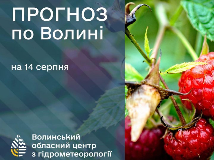 Погода в Луцьку та Волинській області на завтра, 14 серпня