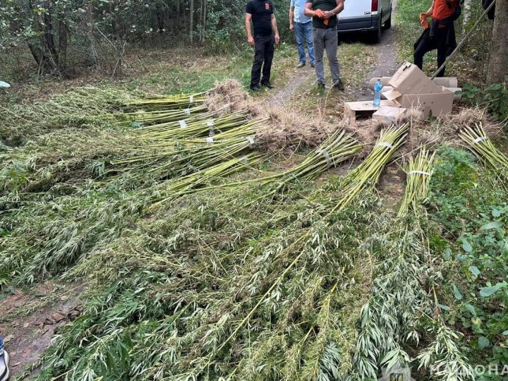 У 42-річного волинянина вилучили наркотичних речовин на мільйон гривень