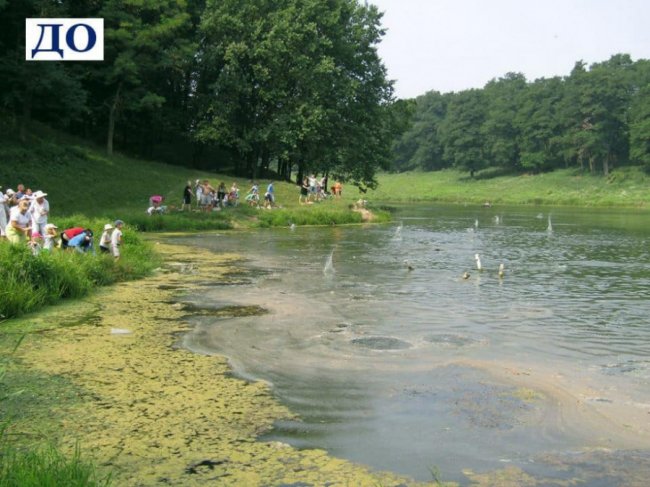 Сморід у Луцьку: повідомили, як можна вирішити проблему. ФОТО