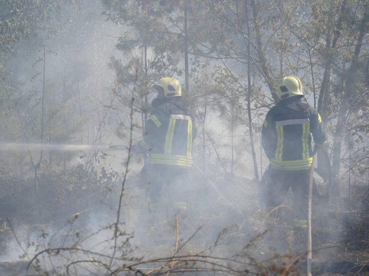 Через пожежу сухостою на Волині загинула людина