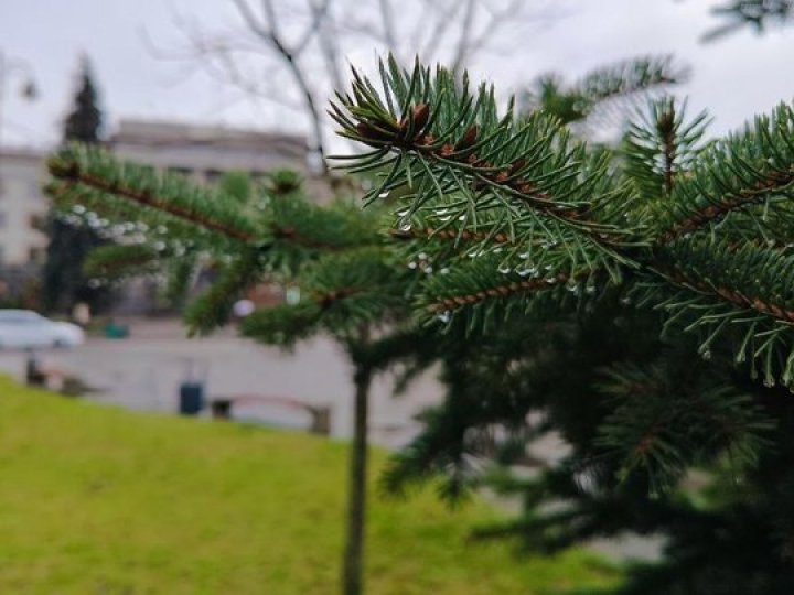 Два дні поспіль у Луцьку фіксують температурний рекорд