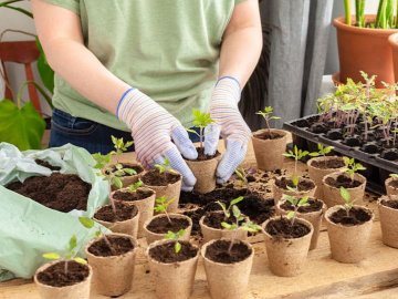 Волинський священник розповів, чи можна працювати в Світлий тиждень після Великодня