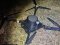 Переправляв наркотики за допомогою дрона: СБУ на Волині затримала ще одного контрабандиста