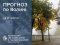 Погода в Луцьку та Волинській області на завтра, 26 жовтня