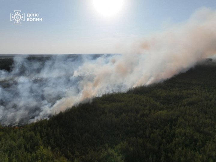 На Волині – масштабна лісова пожежа