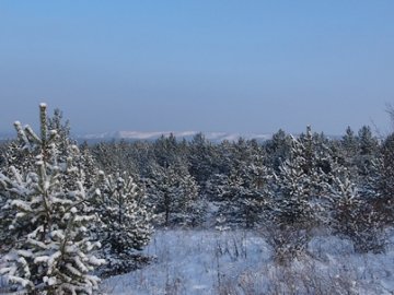 Погода в Луцьку та Волинській області на завтра, 15 грудня