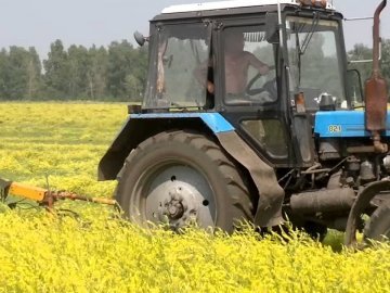 В Україні назвали найзатребуваніші спеціальності 